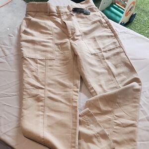 Banana Republic Suede Tan  Pants